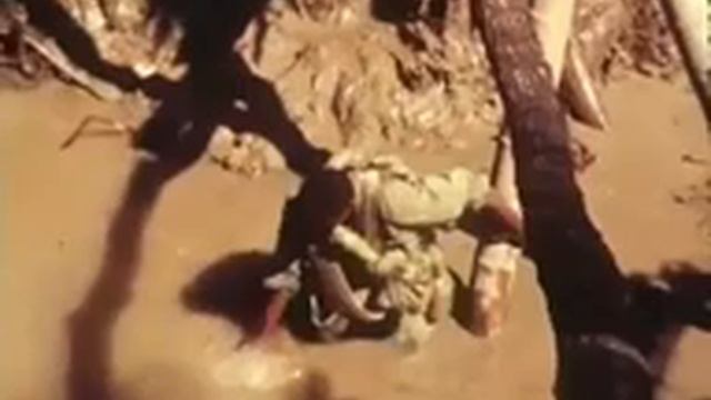 Один день в дельте Меконга. Съемки патруля 9-ой пехотной дивизии США смотреть онлайн