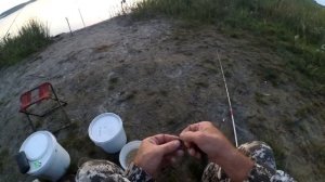 Ловлю карася на пенопласт (оснастка Удар) +рассказываю, как подготовить пенопласт к рыбалке