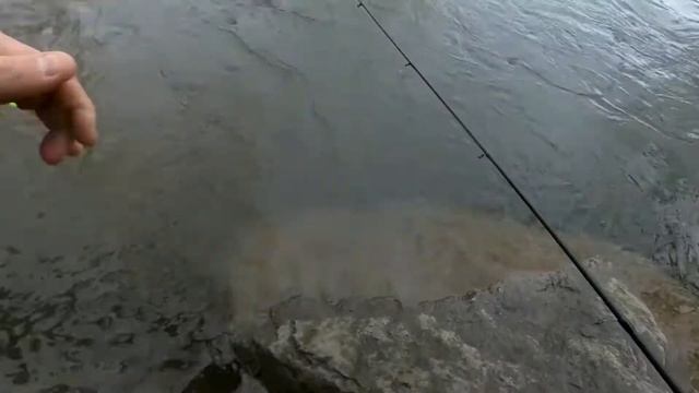 Jak NIE Podbierać Szczupaków. Ryba łamie Wędke