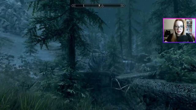 Имена и лица (Мод Интересные NPC) Прохождение №79 (Стрим) Skyrim SE с модами смотреть онлайн