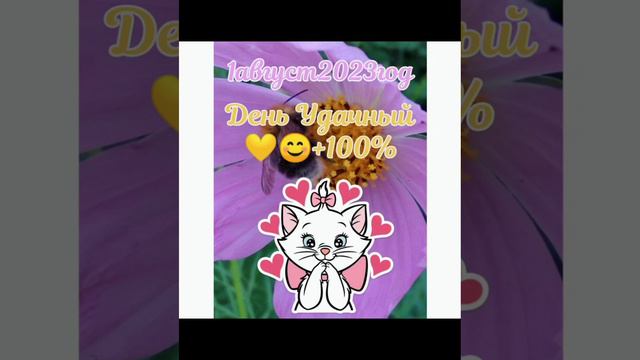 Энергий дня на 1 Августа 2023 год. смотреть онлайн