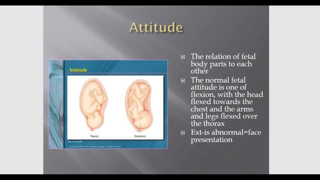 Nursing 2301 OB Lecture for snow day смотреть онлайн