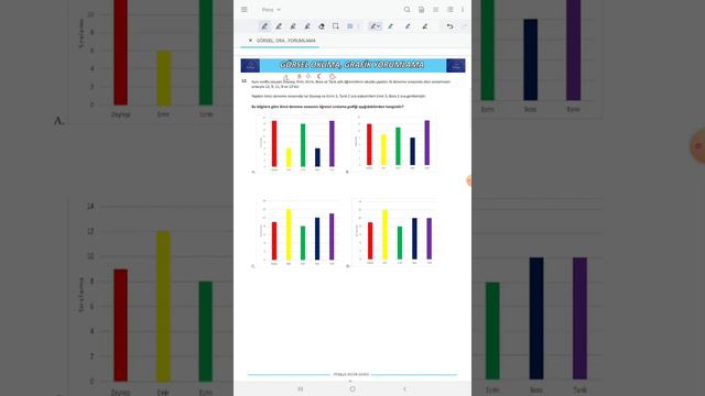 GÖRSEL, GRAFİK YORUM SINAVI SORU-12