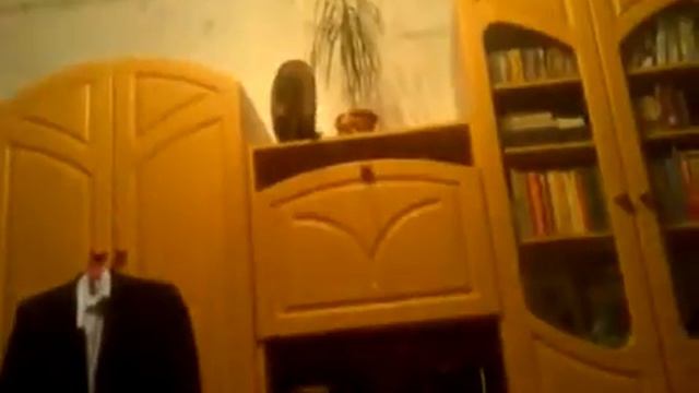 Кошка прыгает высоко! Cat jumping high! смотреть онлайн