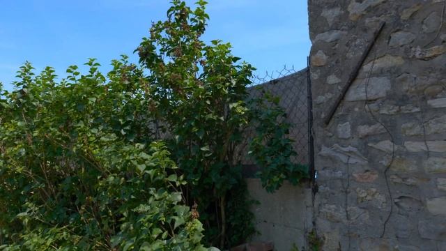 Как самим собрать Каркасный БАССЕЙН и сделать основание из поддонов. Русские люди во Франции !! смотреть онлайн