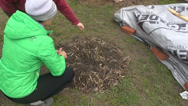 Домашнее видео. Хроника. 9 - 10 мая Celebrating Victory Day. смотреть онлайн