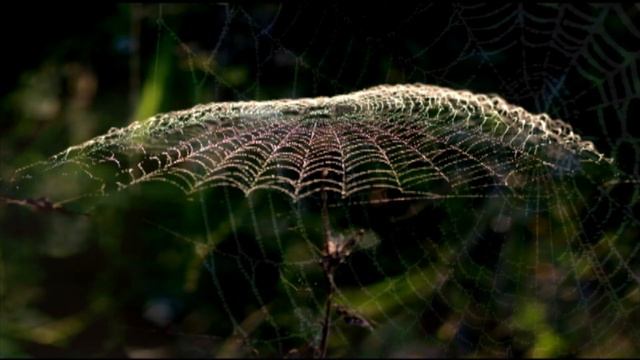 Spider Suite for oboe (or flute), clarinet, bassoon смотреть онлайн