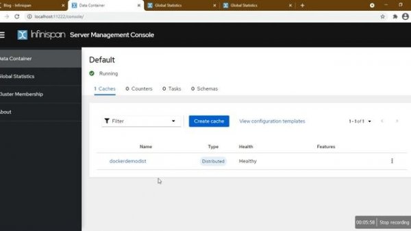Infinispan cluster with an example (hotrod client) using docker container