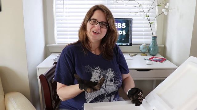 unboxing - FLASH FROZEN fresh TEA LEAVES: Millennia Tea смотреть онлайн