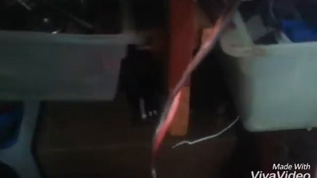 Зарядка для автомобильного аккумулятора смотреть онлайн