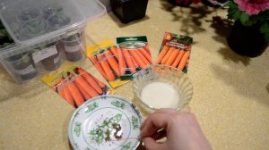 что я делаю ,для быстрой всхожести моркови