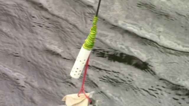 Научная команда НИС "Протей" проводит гидрологические исследования смотреть онлайн