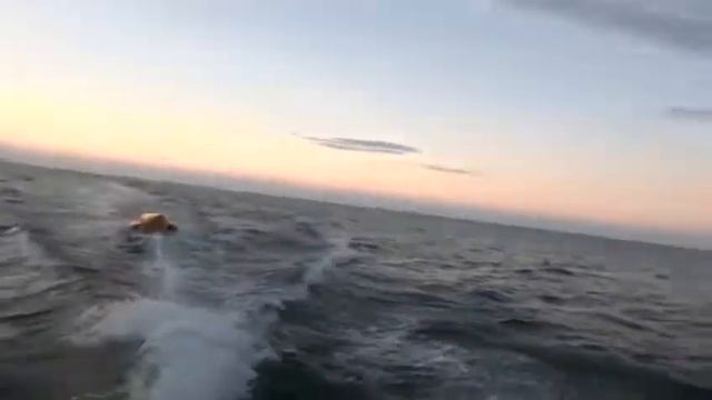 ДАГЕСТАН ОТЛИЧНАЯ ПРОГУЛКА НА КАТЕРЕ С ДРУГОМ ПО ПРЕКРАСНОМУ КАСПИЙСКОМУ МОРЮ смотреть онлайн