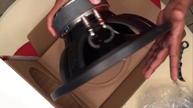 Focal Sub P 30 DB Unboxing