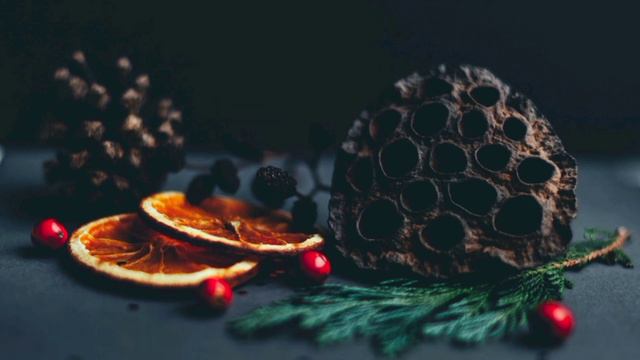 Candy Cane Lane - Sia | Lyrics [1 hour] смотреть онлайн