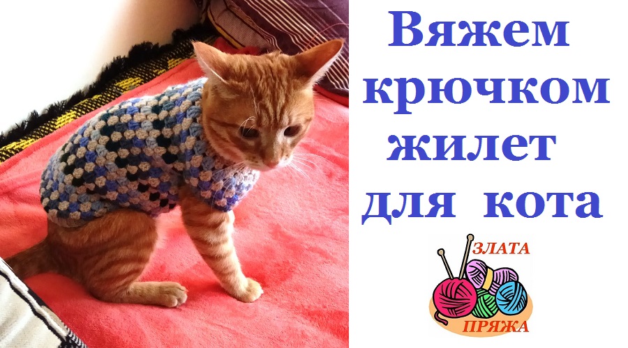 Вяжем крючком жилет для кота МК