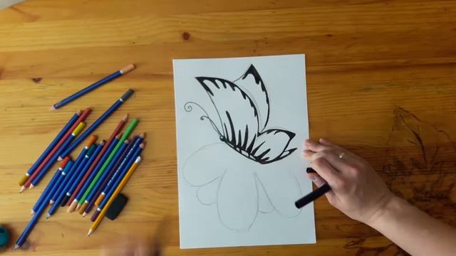Бабочка. Графика. 4-6 лет смотреть онлайн