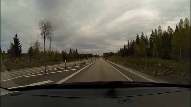 Close call, Predator bird смотреть онлайн