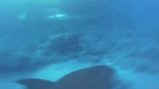 Глава 4 смотреть онлайн