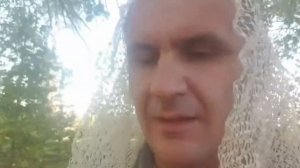 Сетка ак. Павловского в действии