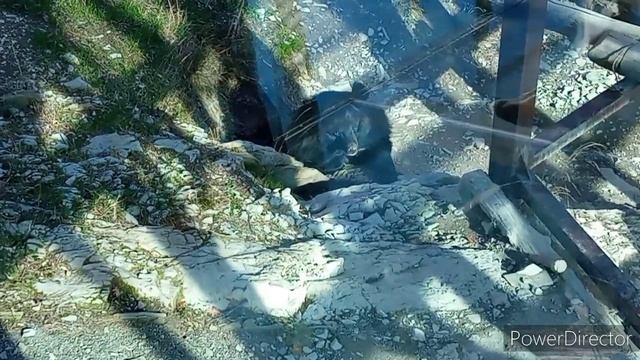 По Геленджику - часть 2 смотреть онлайн