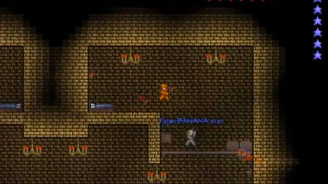 (Part 4) Terraria - Adventure Map - The Golden Temple смотреть онлайн