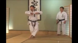 Тэкки Нидан + Бункай (Хирокадзу Канадзава)/Tekki Nidan