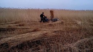 BCS-622, Самоходная  сноповязальная косилка