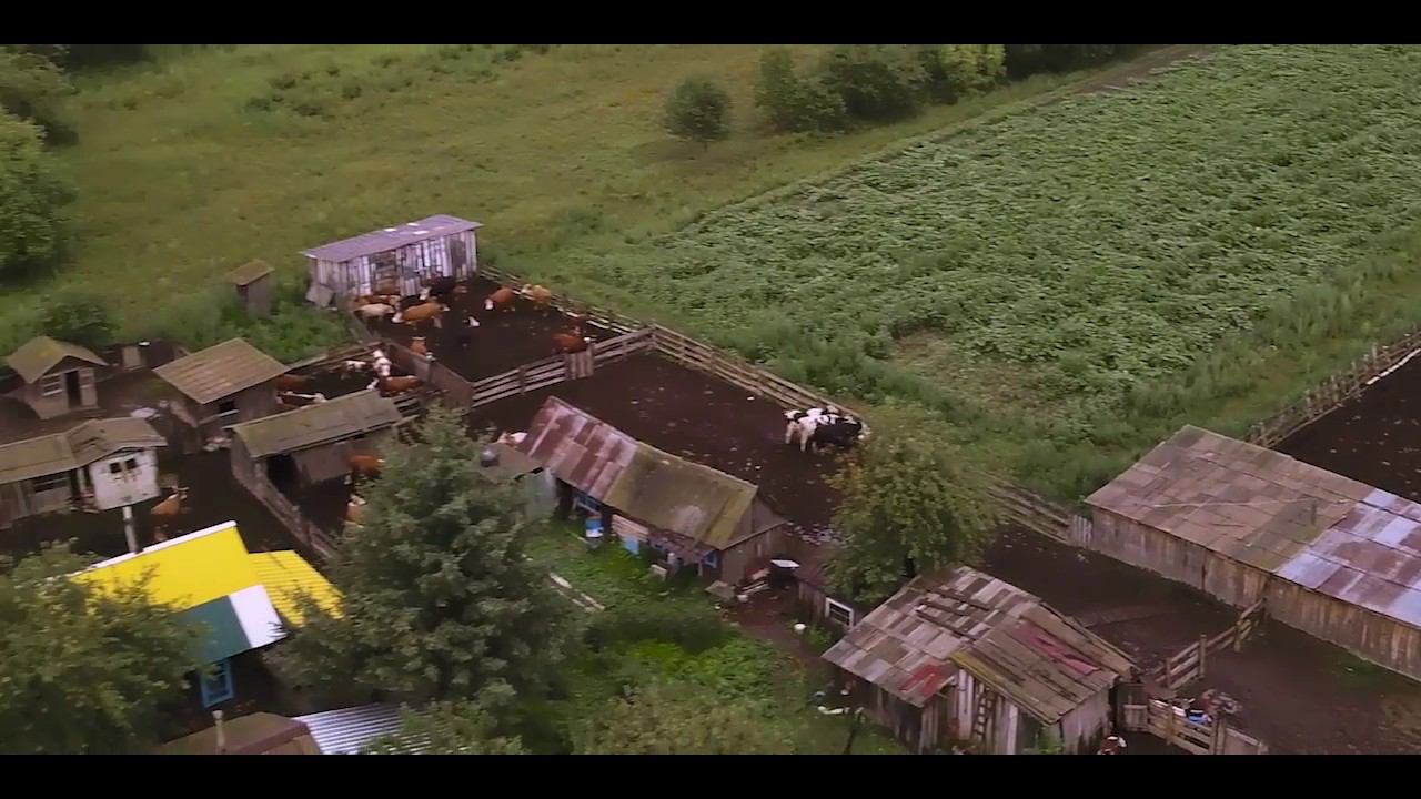 Дальневосточный гектар: история успеха. Животноводческая ферма Бориса Рудакова смотреть онлайн