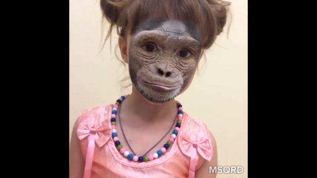 Меняем маски в программе msqrd masquerade Программа MSQRD маскарад меняющая лица смотреть онлайн