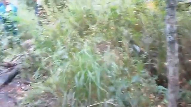 Покатухи на Уазике!!! смотреть онлайн
