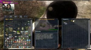 НАРОДНАЯ СОЛЯНКА Тайники Коллекционера. Янтарь.