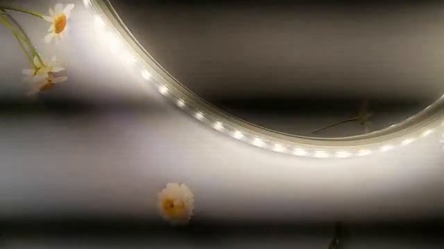 LEDER，custom neon lights,smd rgb 5050 waterproof strip light，China factory смотреть онлайн