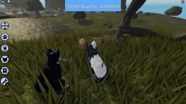 МЫ ЗАШЛИ НА ЧУЖУЮ ТЕРРИТОРИЮ! / КОТЫ-ВОИТЕЛИ / Warrior Cats ROBLOX