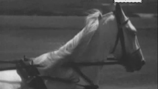 Скачки и бега на ипподроме в Москве. Кинохроника 1927 г. (Беговая, ЦМИ) смотреть онлайн