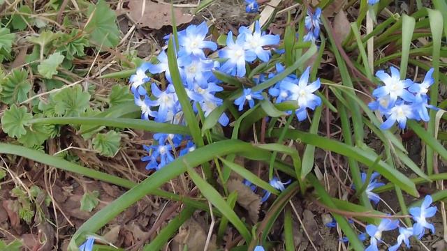 4_Moscow, Russia: Zaryadye park near the Kremlin. Continuation. смотреть онлайн