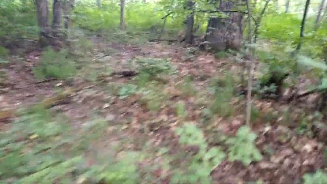 ШОК/ВОТ ЭТО ГРИБ/#covid19/ТАКОЕ ВЫ ЕЩЁ НЕ ВИДЕЛИ смотреть онлайн