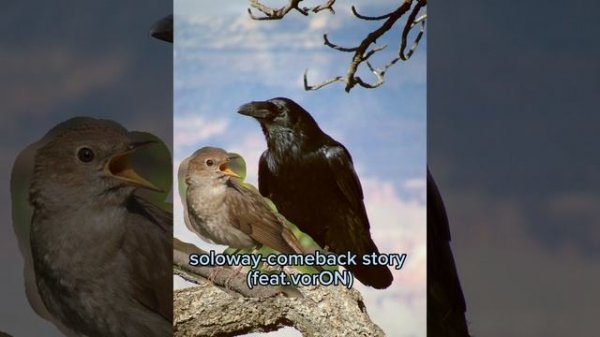 soloway-comeback story(2023) (feat.vorON) КОМБЭК СОЛОВЬЯ! СОЛОВЕЙ ВЕРНУЛСЯ?