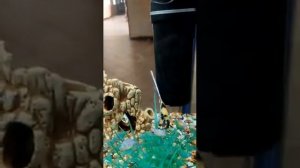 Санаторий  ФРУНЗЕ г.СОЧИ.