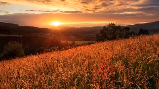 An hour long piano music to get your creative juices flowing... (BGM 1) смотреть онлайн