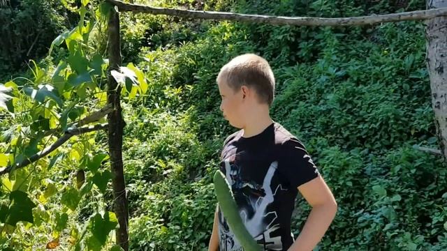 Китайские огурцы | На даче смотреть онлайн