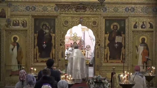 05.11.2022 Литургия. Димитриевская родительская суббота. Апостола Иакова, брата Господня по плоти смотреть онлайн