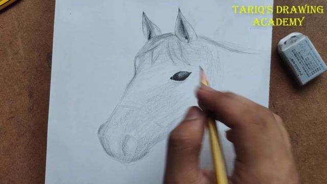 How to draw Horse Face with pencil sketch Step by Step смотреть онлайн