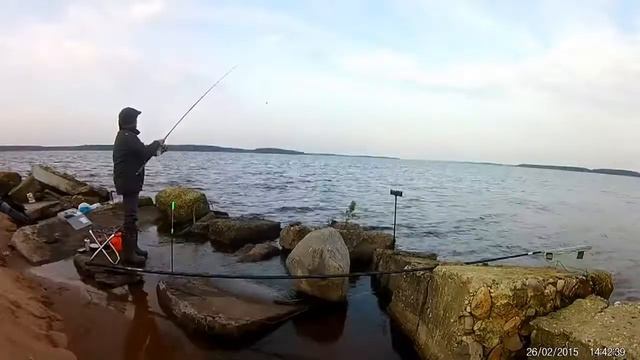 Подлещик на фидер. Московское море. смотреть онлайн