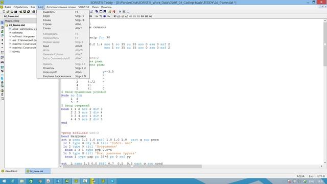 CADINP. Tекстовый редактор TEDDY. Базовые функции