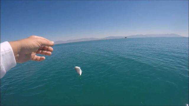 Micro Yemler ile Çipura Avı & Fishing with Micro Baits смотреть онлайн