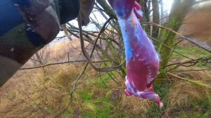 ЛАЙФХАК как разделать зайца на охоте ОДНОМУ. Слабонервным не смотреть! 18+