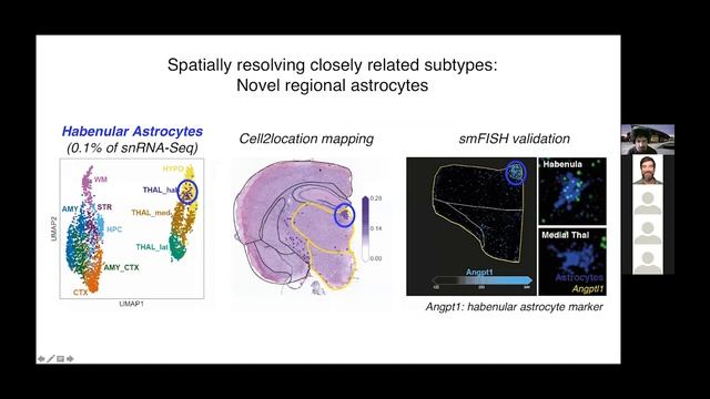 Mapping neural cell type diversity using spatial transcriptomics смотреть онлайн