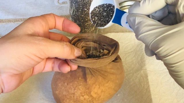 Mascota de Chia смотреть онлайн