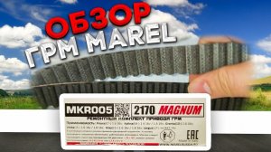 Обзор ГРМ Марел на ВАЗ 16 клапанов. Не понятно что Это такое.